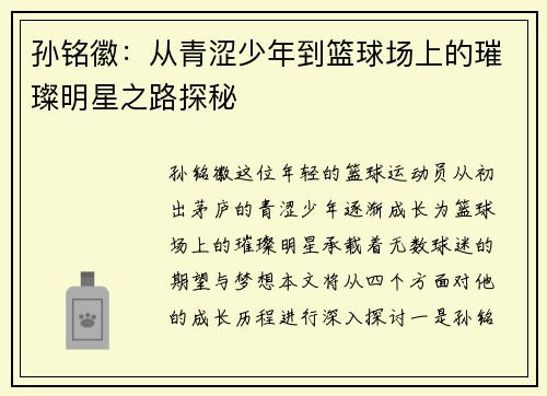 孙铭徽：从青涩少年到篮球场上的璀璨明星之路探秘